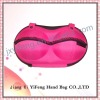 2011 Newest fashional EVA bra case