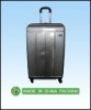 2011 popular luggages