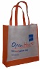 2012 HOT High quality 70gsm pp non woven shopping bag