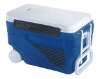 Cooler box for fish HS741