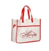 Eco Promotional non woven bags