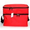 021 cooler lunch bag