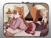 10.1 inch laptop sleeve