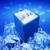 1000L PE Fishing Ice Box