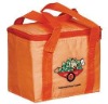 117 cooler lunch bag