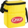 12-Pack Insulated Bag cooler tote bag,ice bag,lunch sack,outdoor bag,promotion bag,fashion bag