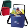 12-Pack Insulated Cooler Bag