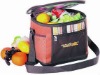 12 can cooler bag