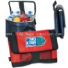 12 can cooler bag, ice bag, outdoor bag,promotion bag,fashion bag,picnic bag.