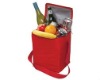 12 cans promotional cooler bag