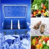 120L Bule Refrigerating Box