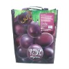 120gr PP non woven bag(N800225)