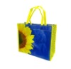 120gsm PP woven bag(W800228)
