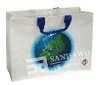 145gr pp woven bags(W800192)