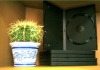 14mm single black dvd box