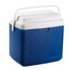 15L plastic insulated ice box