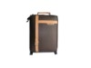 18" luggage trolley case