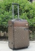 20" luggage