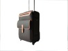 20" luggage trolley case