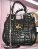 2009 New Brand handbag