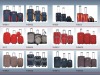 2010 EVA Luggage cases