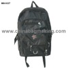 2010 Hot Backpack