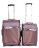 2010 L-010# Trolley Case