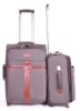 2010 L-013# Trolley Case