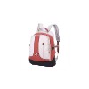 2010 New Design Backpack Bag