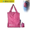 2010 New Foldable Polyester Bag