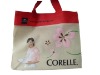 2010 Spring New Arrivals Hot Selling Promotional Bag