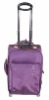 2010 design luggage