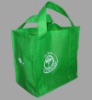 2010 eco non woven bottle bag