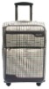2010 fashion economic luggage set
