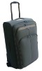 2010 fashion trolley case