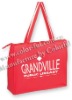 2010 high quality shopping bag