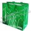 2010 high quality shopping bag