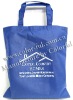 2010 high quality shopping bag