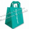 2010 high quality shopping bag