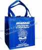 2010 high quality shopping bag