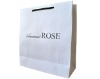 2010 logo gift bag