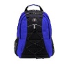 2010 new design backpack blue sport backpack