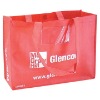 2010 new design non woven shopping bag