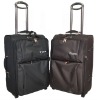 2010 new design trolley case