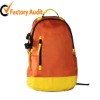 2010 new designed sport backpack