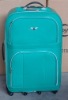 2010 new luggage bag