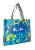 2010 new non woven bag