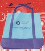 2010 new non woven bags for promotion