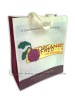 2010 new style nonwoven bag