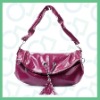 2010 newest style ladies bag